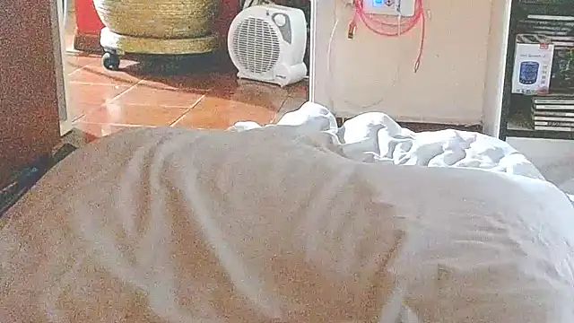 liandragostosa live cam