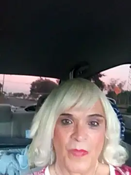 dustbunny64 live cam on StripChat