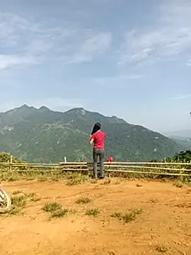 Hoa-tuylip