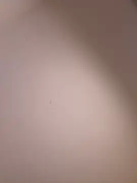 selenne_schmitt