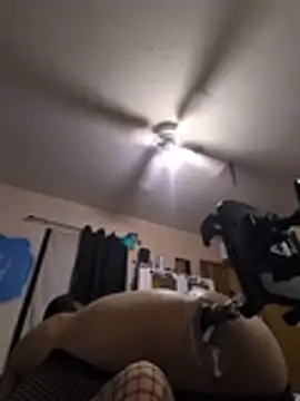 Cnutt310 live cam