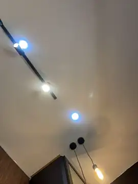 Alexandra_duque