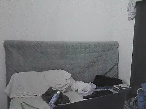 alphalatinobearx live cam