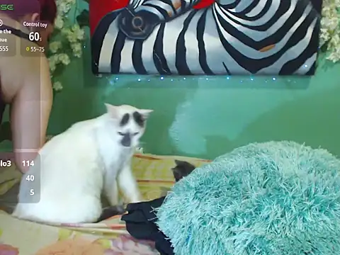 Sara_Cardenas08 live cam on StripChat