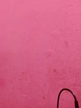 Mona_Vabi