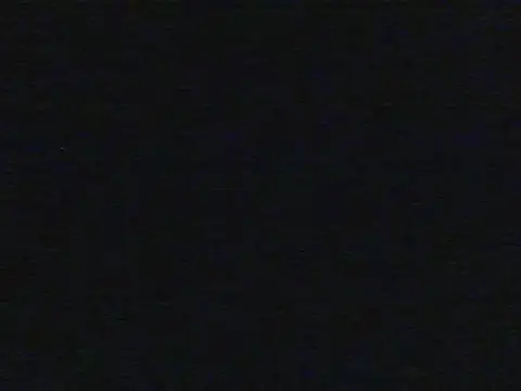 shugabaibe