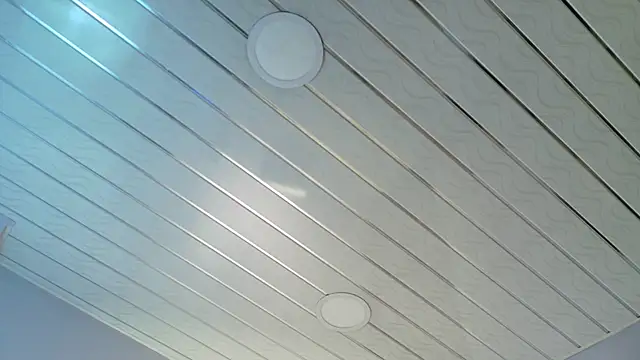 Dakota_Rainbow22