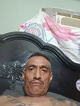Innsaciable live cam on StripChat