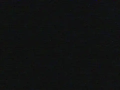 shugabaibe's live room