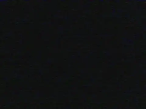 shugabaibe's live room