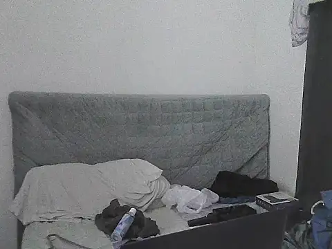 alphalatinobearx live cam
