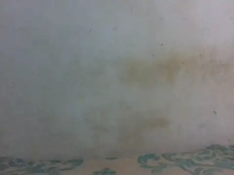 Sweet18wantuxx live cam on StripChat