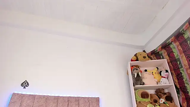 nao_sanz2