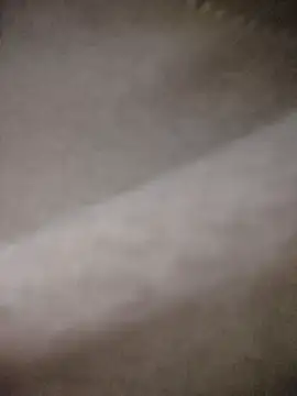 -Tara-a live cam on StripChat