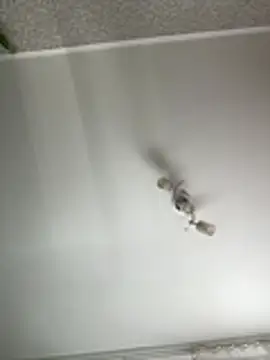 AlishaOfThorns live sex cam