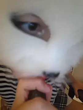 SPrITZMAUS