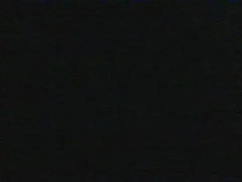 shugabaibe's live room