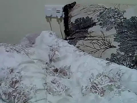verl1 live cam on StripChat