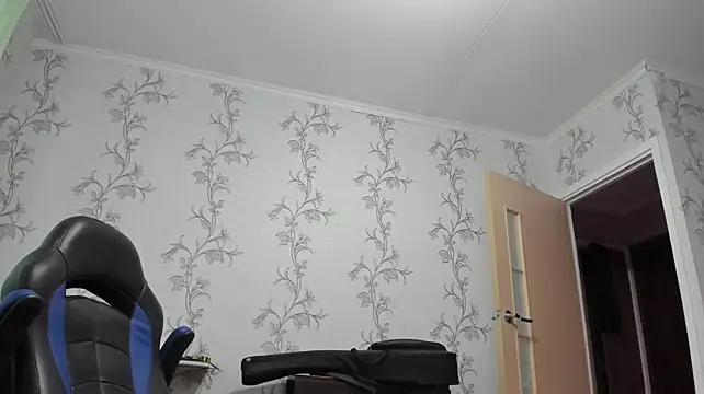 SanFrantsisko live cam