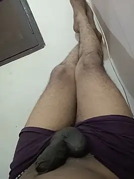 slavehorse (M young) - Sex toy buy