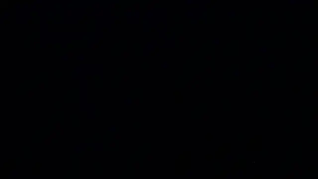 Nico_cum18