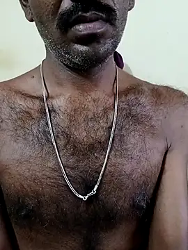 Chocolate_stud10