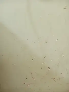 Kittu_Rani25