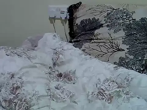cam porn live Verl1
