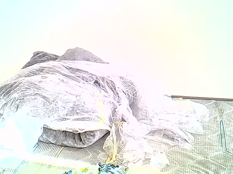 SurXperience live cam