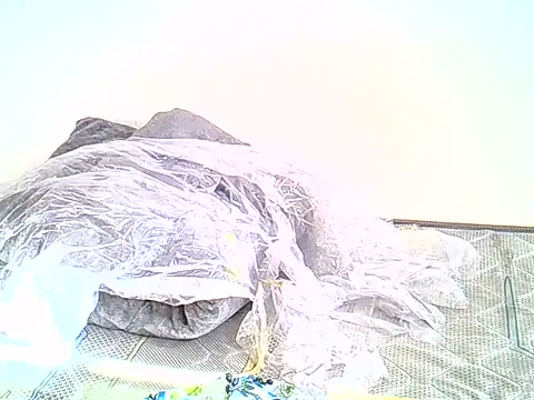 Zevel - Couple webcam sex chat