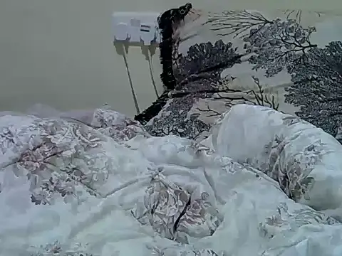 sex live cam Verl1