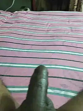 desi_pb02 live cam