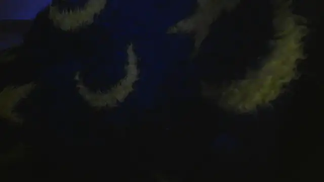 bialoba7