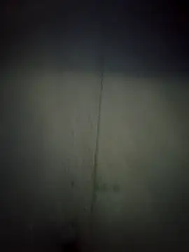 Mask4L's live cam