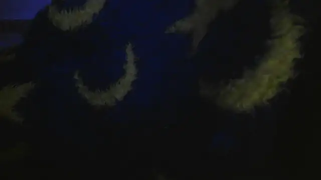 bialoba7 live cam on StripChat