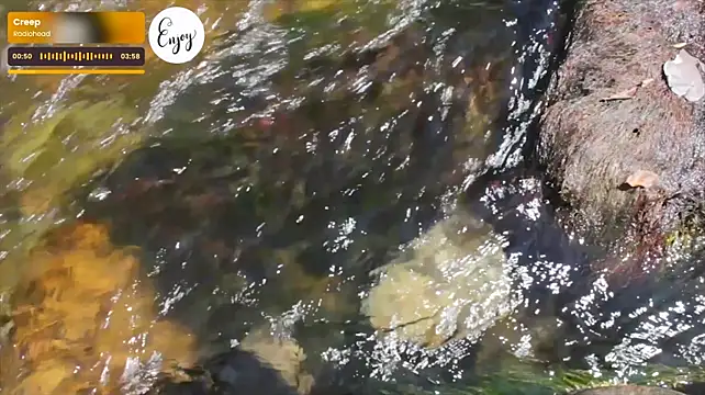 SparkyFerret live cam on StripChat