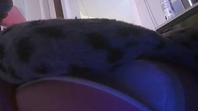 nastydianastrips