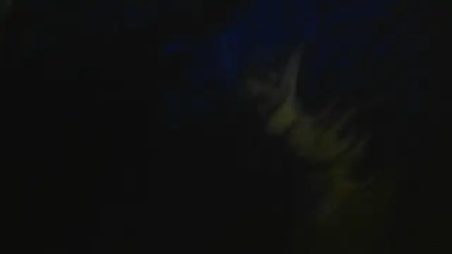 bialoba7 live sex cam