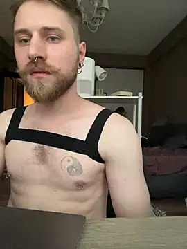 Dan_Steel
