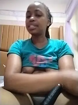 Missallan