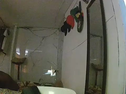 andresbb1