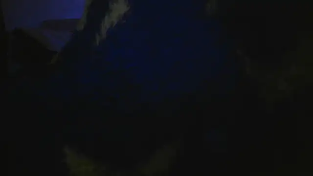 bialoba7