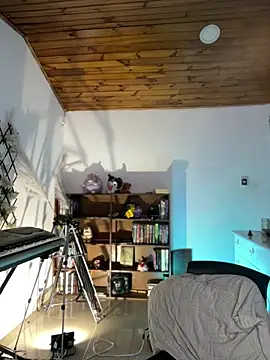 nikkinix's live room