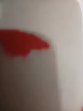 gyannini (T milf) - Big Cum 🍆💦