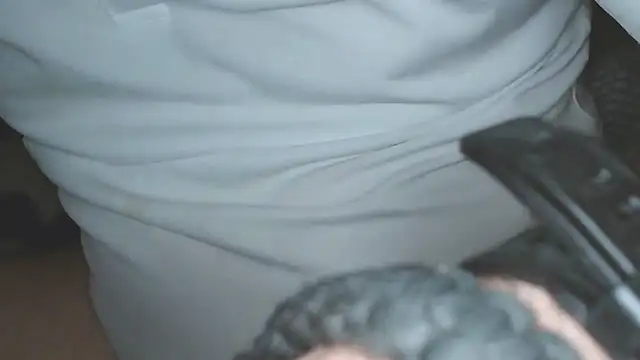BronzeLeaf247