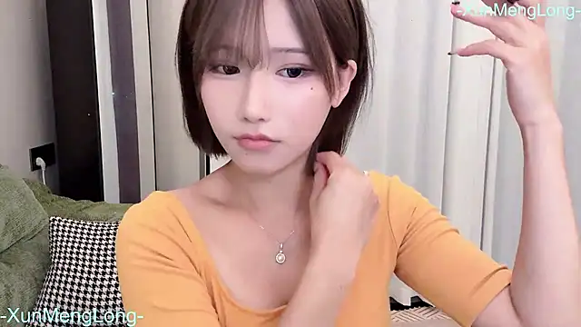 -XunMengLong-