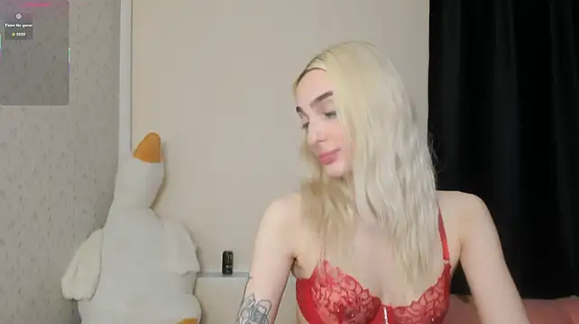 succubantra live cam on StripChat