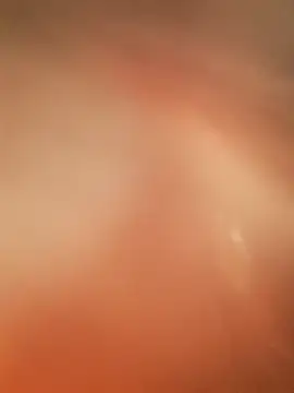 gildamilf