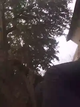 CPTCOCK