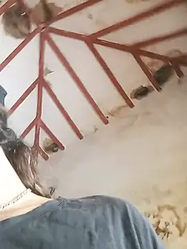 Hairy_mannn2